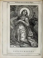 Picture 30 of 46 from 'tBosch der eremyten ende eremitinnen, van Aegypten ende Palestinen (1644), leaf 276