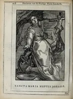 Picture 34 of 46 from 'tBosch der eremyten ende eremitinnen, van Aegypten ende Palestinen (1644), leaf 294