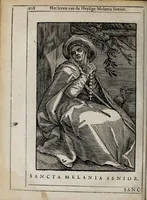 Picture 38 of 46 from 'tBosch der eremyten ende eremitinnen, van Aegypten ende Palestinen (1644), leaf 324