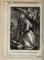 Picture 40 of 46 from 'tBosch der eremyten ende eremitinnen, van Aegypten ende Palestinen (1644), leaf 328