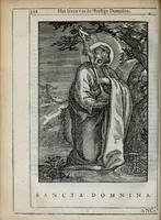 Picture 43 of 46 from 'tBosch der eremyten ende eremitinnen, van Aegypten ende Palestinen (1644), leaf 338