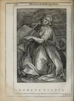 Picture 44 of 46 from 'tBosch der eremyten ende eremitinnen, van Aegypten ende Palestinen (1644), leaf 342