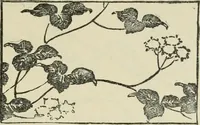 An illustration from Teacher's manual for Prang's new graded course in drawing for Canadian schools (1901)