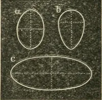 An illustration from Teacher's manual for freehand drawing in intermediate schools (1876)
