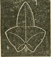 An illustration from Teacher's manual for freehand drawing in intermediate schools (1876)