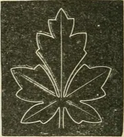 Picture 79 of 146 from Teacher's manual for freehand drawing in intermediate schools (1876), leaf 179