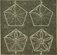 An illustration from Teacher's manual for freehand drawing in intermediate schools (1876)
