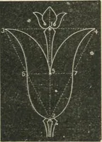 Picture 84 of 146 from Teacher's manual for freehand drawing in intermediate schools (1876), leaf 192