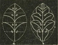 Picture 95 of 146 from Teacher's manual for freehand drawing in intermediate schools (1876), leaf 202