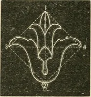 An illustration from Teacher's manual for freehand drawing in intermediate schools (1876)