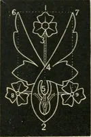 Picture 114 of 146 from Teacher's manual for freehand drawing in intermediate schools (1876), leaf 217