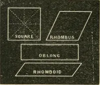 Picture 10 of 146 from Teacher's manual for freehand drawing in intermediate schools (1876), leaf 69