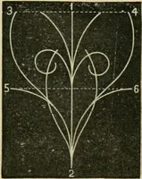 An illustration from Teachers' manual for freehand drawing in primary schools (1878)
