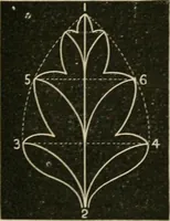 An illustration from Teachers' manual for freehand drawing in primary schools (1878)