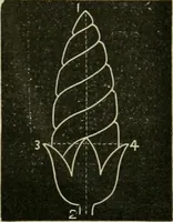 An illustration from Teachers' manual for freehand drawing in primary schools (1878)