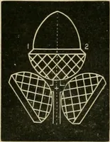 An illustration from Teachers' manual for freehand drawing in primary schools (1878)