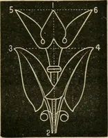 An illustration from Teachers' manual for freehand drawing in primary schools (1878)