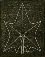 An illustration from Teachers' manual for freehand drawing in primary schools (1878)