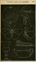 An illustration from Teachers' manual for freehand drawing in primary schools (1878)