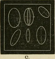 An illustration from Teachers' manual for freehand drawing in primary schools (1878)