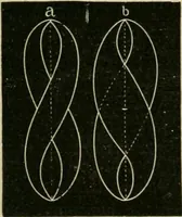 An illustration from Teachers' manual for freehand drawing in primary schools (1878)