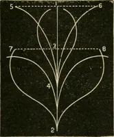 An illustration from Teachers' manual for freehand drawing in primary schools (1878)