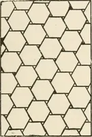 An illustration from Teachers' manual for the Prang course in drawing for graded schools, books 1-6 (1897)