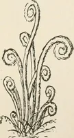 An illustration from Teachers' manual for the Prang course in drawing for graded schools, books 1-6 (1897)