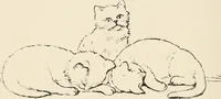 An illustration from Teachers' manual for the Prang course in drawing for graded schools, books 1-6 (1897)