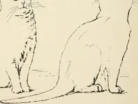 An illustration from Teachers' manual for the Prang course in drawing for graded schools, books 1-6 (1897)