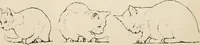 An illustration from Teachers' manual for the Prang course in drawing for graded schools, books 1-6 (1897)