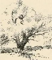 An illustration from Teachers' manual for the Prang course in drawing for graded schools, books 1-6 (1897)