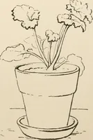 An illustration from Teachers' manual for the Prang course in drawing for graded schools, books 1-6 (1897)