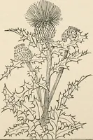 An illustration from Teachers' manual for the Prang course in drawing for graded schools, books 1-6 (1897)