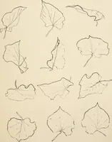An illustration from Teachers' manual for the Prang course in drawing for graded schools, books 1-6 (1897)