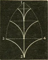 An illustration from Teachers' manual for freehand drawing in primary schools (1875)