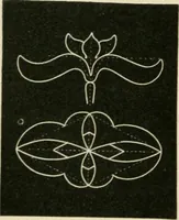 An illustration from Teachers' manual for freehand drawing in primary schools (1875)