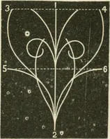 An illustration from Teachers' manual for freehand drawing in primary schools (1875)