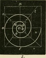 An illustration from Teachers' manual for freehand drawing in primary schools (1875)