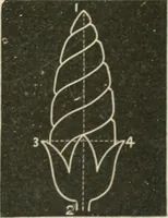 An illustration from Teachers' manual for freehand drawing in primary schools (1875)
