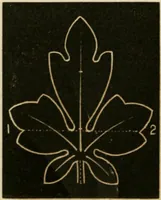 An illustration from Teachers' manual for freehand drawing in primary schools (1875)