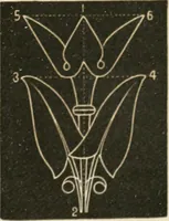 An illustration from Teachers' manual for freehand drawing in primary schools (1875)