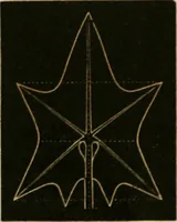 An illustration from Teachers' manual for freehand drawing in primary schools (1875)