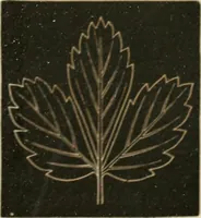 An illustration from Teachers' manual for freehand drawing in primary schools (1875)