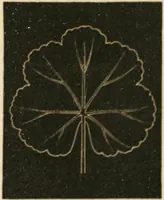An illustration from Teachers' manual for freehand drawing in primary schools (1875)