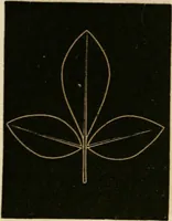 An illustration from Teachers' manual for freehand drawing in primary schools (1875)