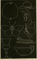 An illustration from Teachers' manual for freehand drawing in primary schools (1875)