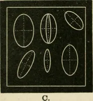 An illustration from Teachers' manual for freehand drawing in primary schools (1875)