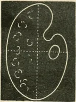 An illustration from Teachers' manual for freehand drawing in primary schools (1875)