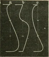 An illustration from Teachers' manual for freehand drawing in primary schools (1875)